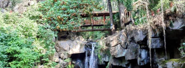 El Parque Nacional de Uruapan mejora la experiencia en su tirolesa.
