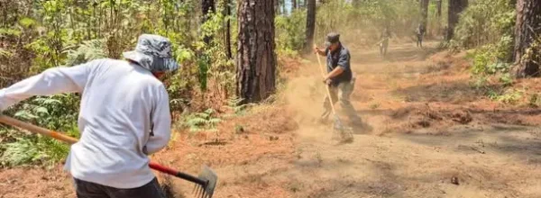Refuerzan labores de prevención y vigilancia en el Parque Nacional Barranca del Cupatitzio.