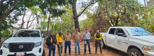 Blindan polígono del Parque Nacional Barranca del Cupatitzio con operativo interinstitucional de vigilancia.